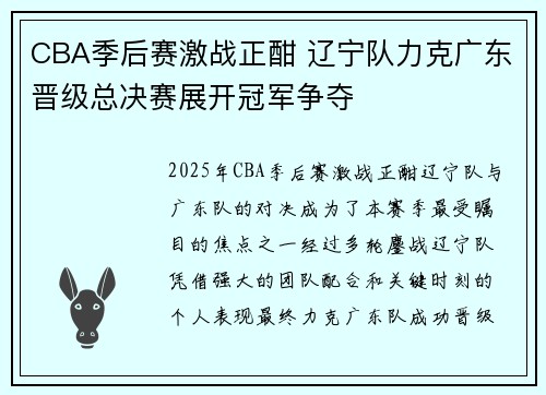 CBA季后赛激战正酣 辽宁队力克广东晋级总决赛展开冠军争夺