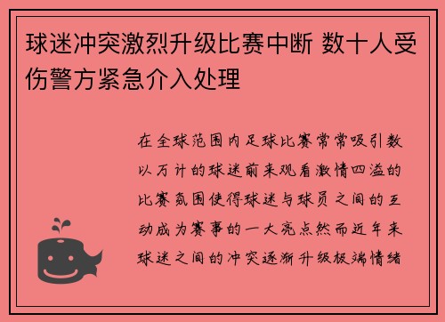 球迷冲突激烈升级比赛中断 数十人受伤警方紧急介入处理